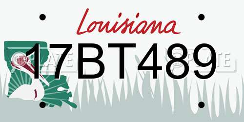 17BT489 Louisiana License Plate