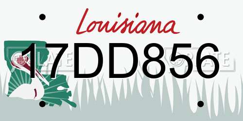 17DD856 Louisiana License Plate