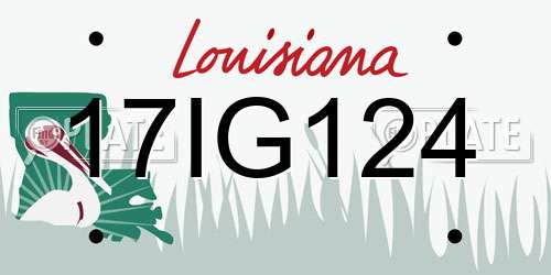 17IG124 Louisiana License Plate