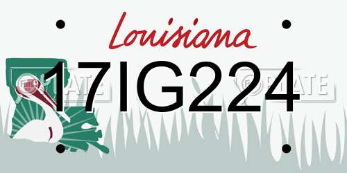 17IG224 Louisiana License Plate