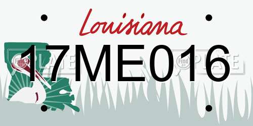 17ME016 Louisiana License Plate