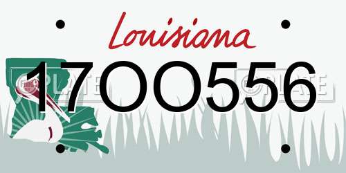 17OO556 Louisiana License Plate