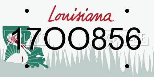 17OO856 Louisiana License Plate
