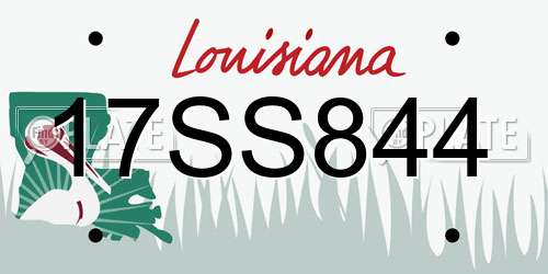 17SS844 Louisiana License Plate