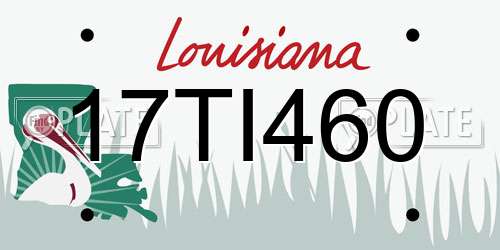 17TI460 Louisiana License Plate