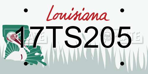 17TS205 Louisiana License Plate