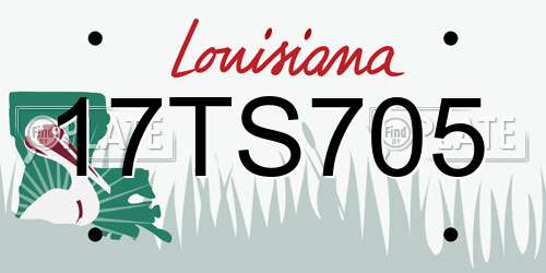 17TS705 Louisiana License Plate