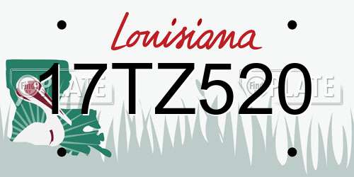 17TZ520 Louisiana License Plate