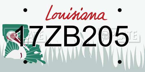 17ZB205 Louisiana License Plate