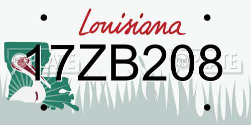 17ZB208 Louisiana License Plate