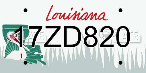 17ZD820 Louisiana License Plate