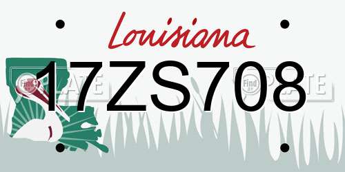 17ZS708 Louisiana License Plate
