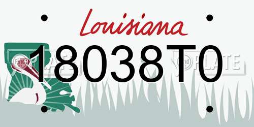 18038T0 Louisiana License Plate