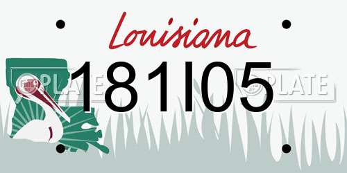 181I05 Louisiana License Plate