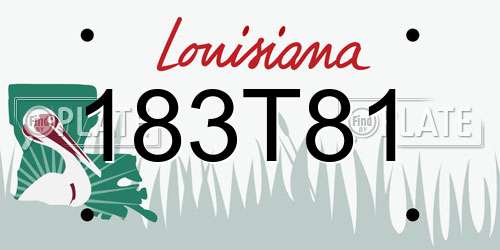 183T81 Louisiana License Plate