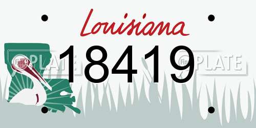 18419 Louisiana License Plate