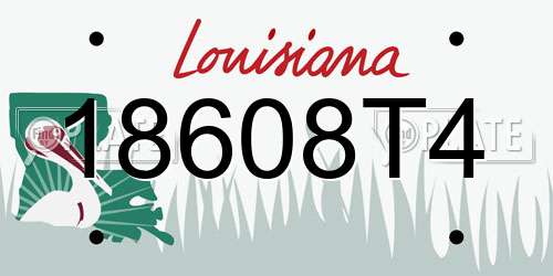 18608T4 Louisiana License Plate