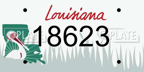 18623 Louisiana License Plate