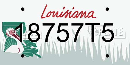 18757T5 Louisiana License Plate