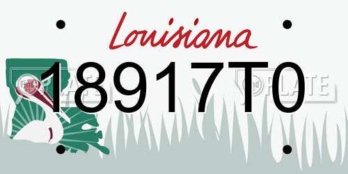 18917T0 Louisiana License Plate