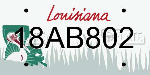 18AB802 Louisiana License Plate