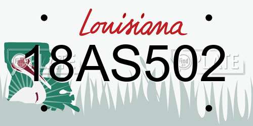 18AS502 Louisiana License Plate