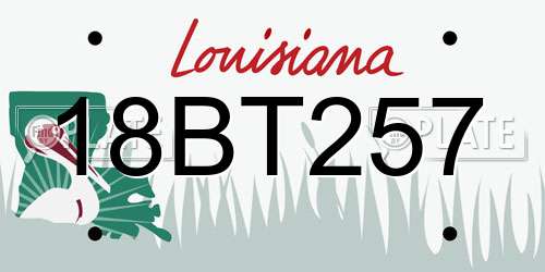 18BT257 Louisiana License Plate