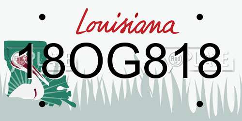 18OG818 Louisiana License Plate