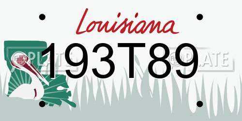 193T89 Louisiana License Plate