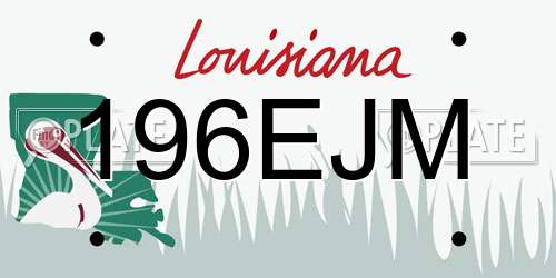 196EJM Louisiana License Plate