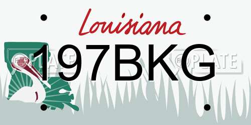 197BKG Louisiana License Plate