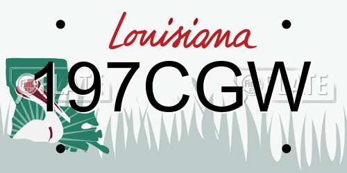 197CGW Louisiana License Plate
