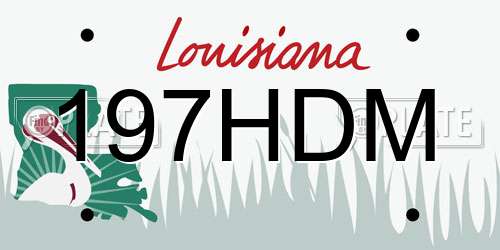 197HDM Louisiana License Plate