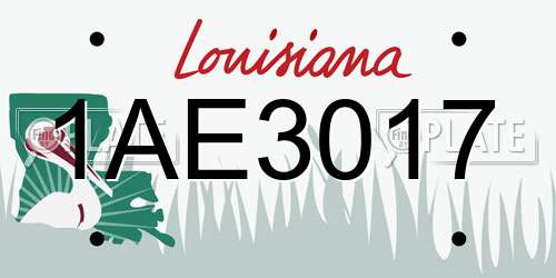 1AE3017 Louisiana License Plate