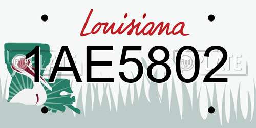 1AE5802 Louisiana License Plate