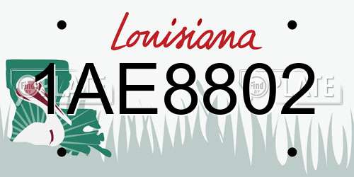 1AE8802 Louisiana License Plate