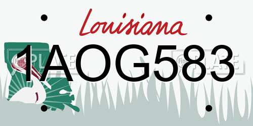 1AOG583 Louisiana License Plate