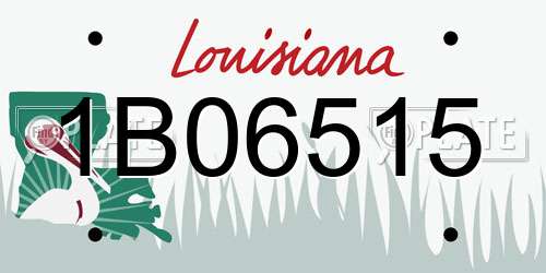 1B06515 Louisiana License Plate