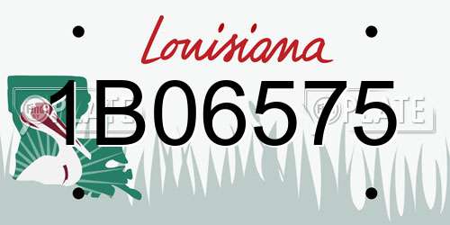 1B06575 Louisiana License Plate