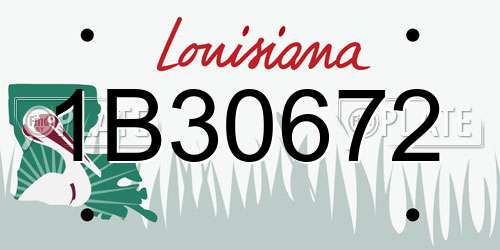 1B30672 Louisiana License Plate