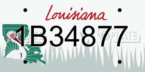 1B34877 Louisiana License Plate