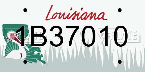 1B37010 Louisiana License Plate