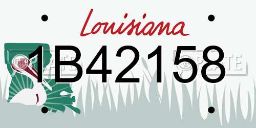 1B42158 Louisiana License Plate