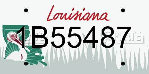 1B55487 Louisiana License Plate