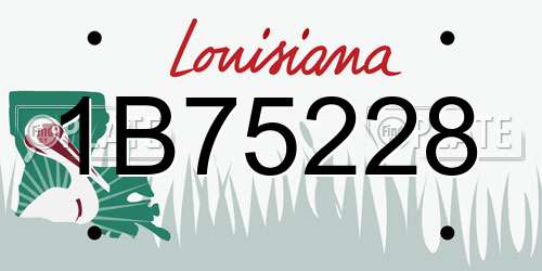 1B75228 Louisiana License Plate