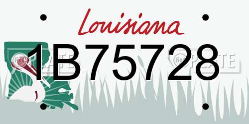 1B75728 Louisiana License Plate