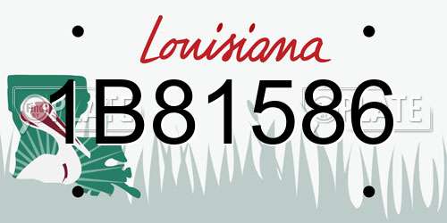 1B81586 Louisiana License Plate