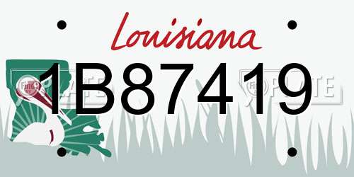 1B87419 Louisiana License Plate
