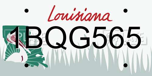 1BQG565 Louisiana License Plate