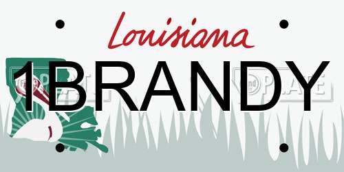 1BRANDY Louisiana License Plate